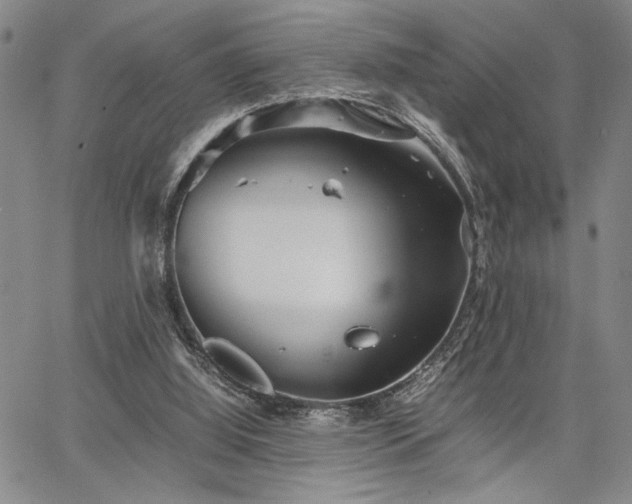 X0000067520060200604071331