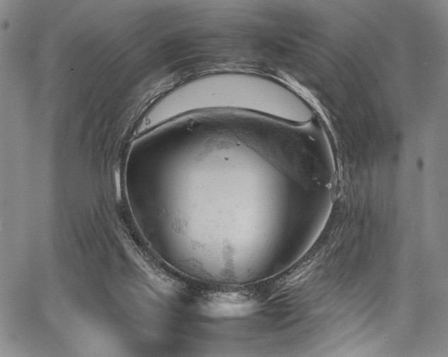 X0000067520061200604071332