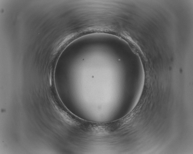 X0000067520062200604071332