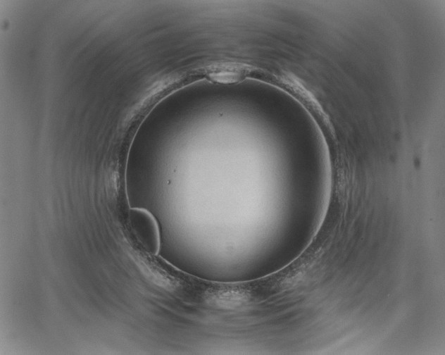 X0000067520063200604071332