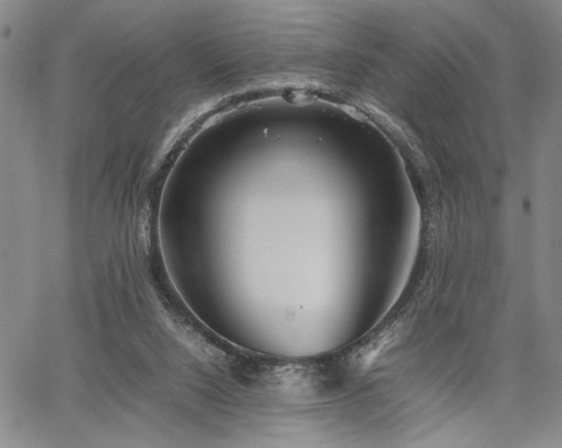 X0000067520064200604071332