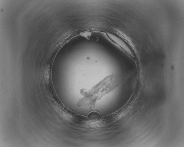 X0000067520065200604071332