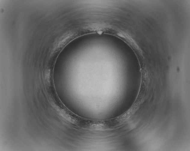 X0000067520066200604071332