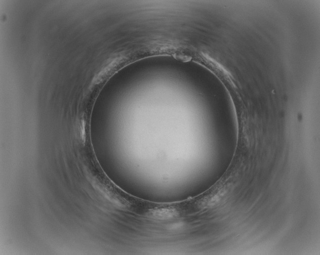 X0000067520067200604071332