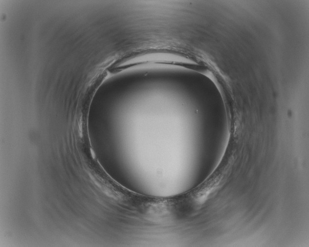 X0000067520068200604071332