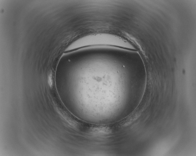 X0000067520069200604071332