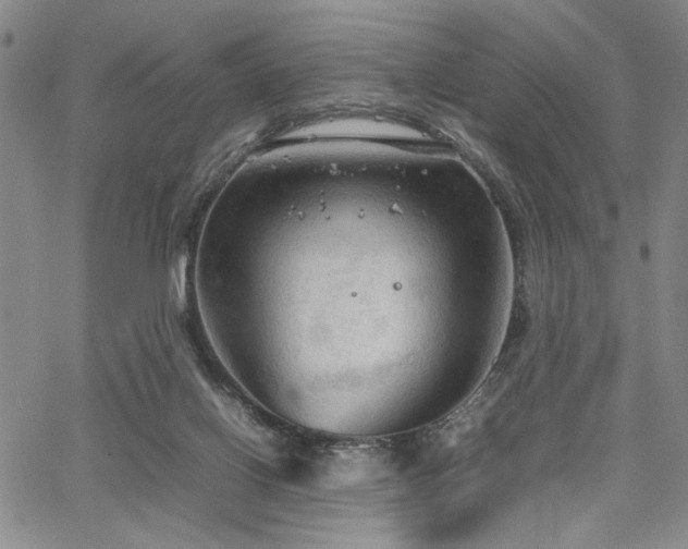 X0000067520070200604071332