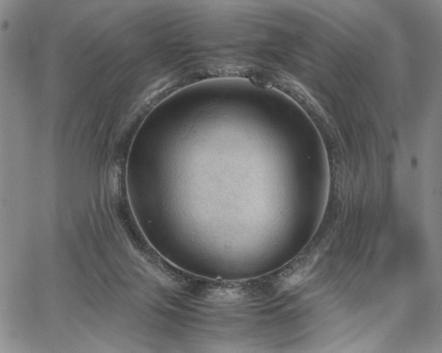 X0000067520071200604071332