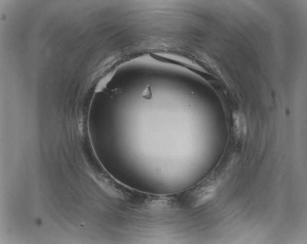 X0000067520072200604071332