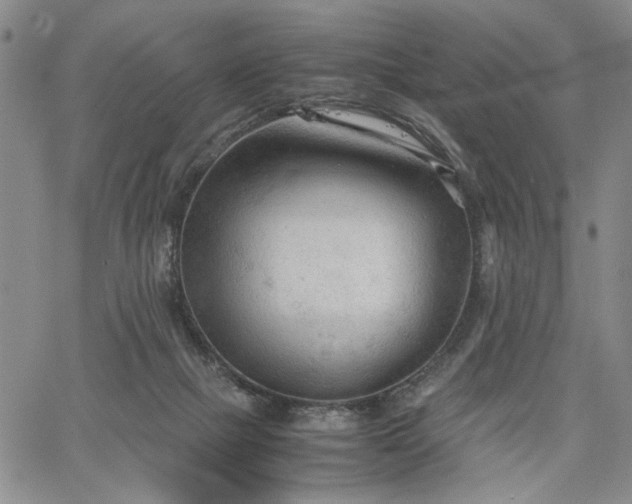 X0000067520073200604071332