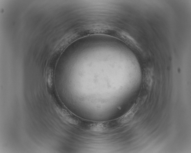 X0000067520074200604071332