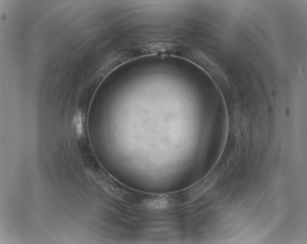 X0000067520075200604071332