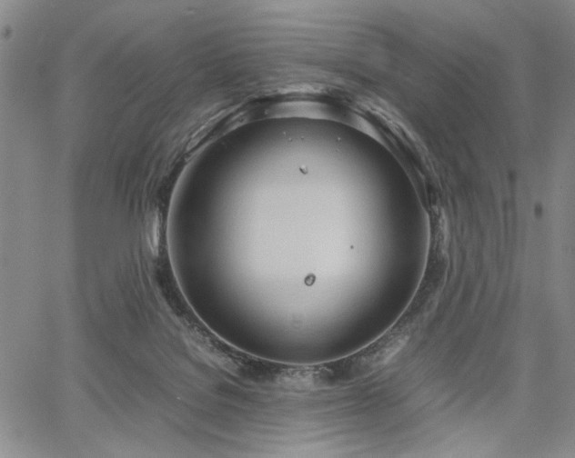 X0000067520076200604071332