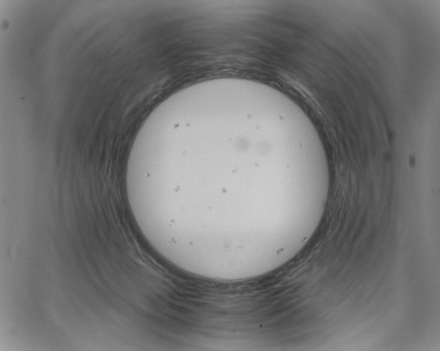 X0000067520077200604071332