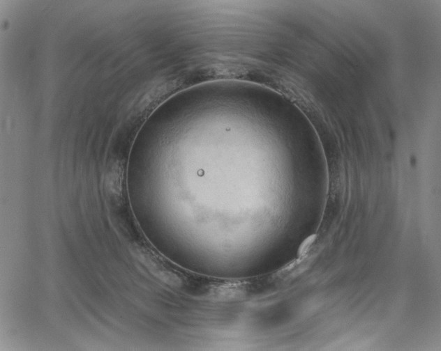 X0000067520078200604071332