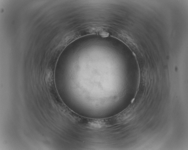 X0000067520079200604071332