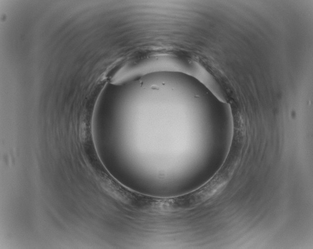 X0000067520080200604071332