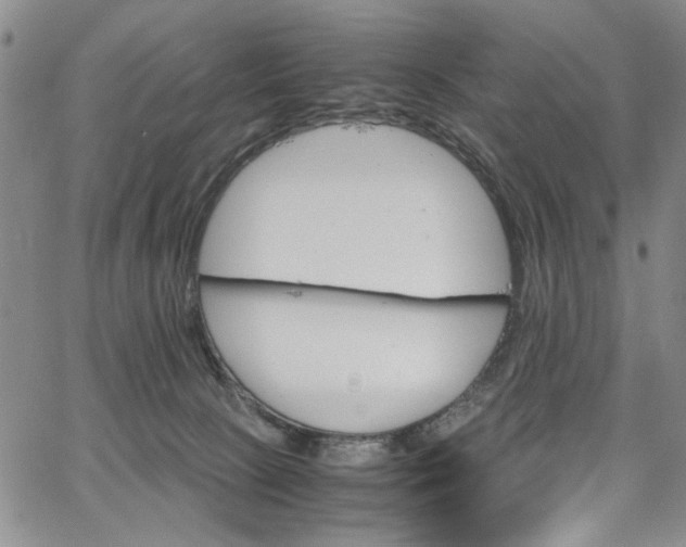 X0000067520081200604071332