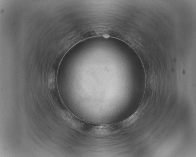 X0000067520082200604071332