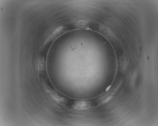 X0000067520083200604071332