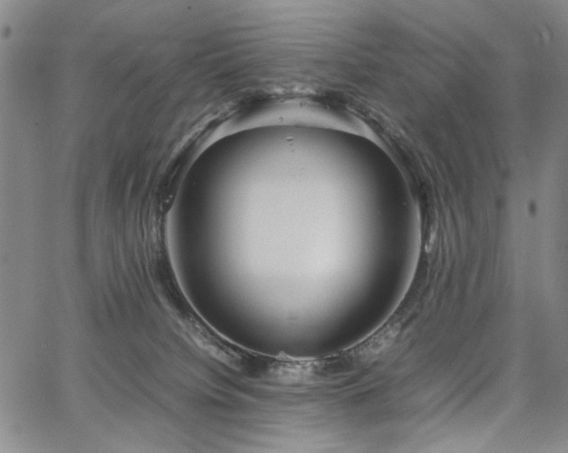 X0000067520084200604071332