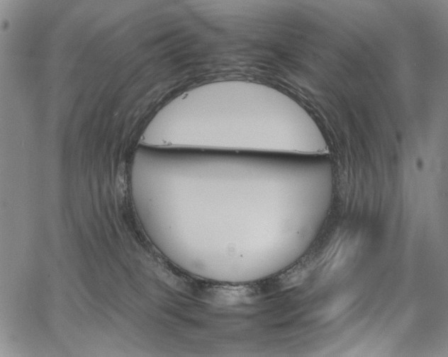 X0000067520085200604071332