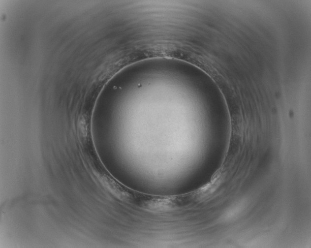 X0000067520086200604071332