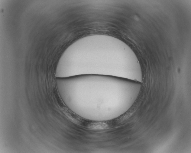 X0000067520087200604071332