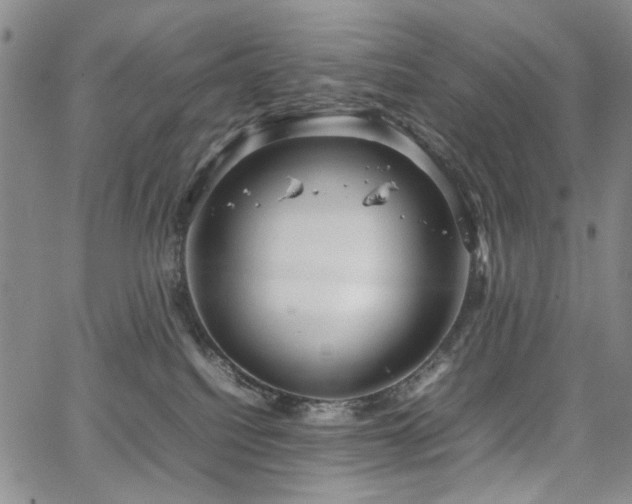 X0000067520088200604071332