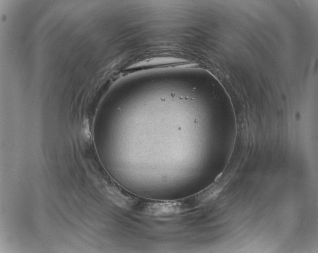 X0000067520089200604071332