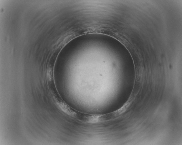 X0000067520090200604071332