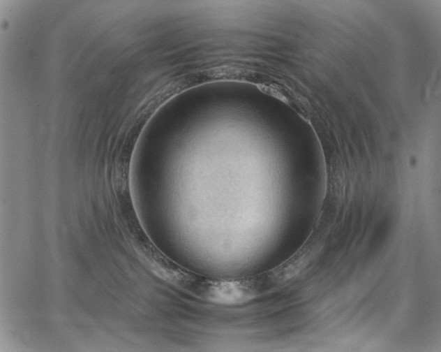 X0000067520091200604071332