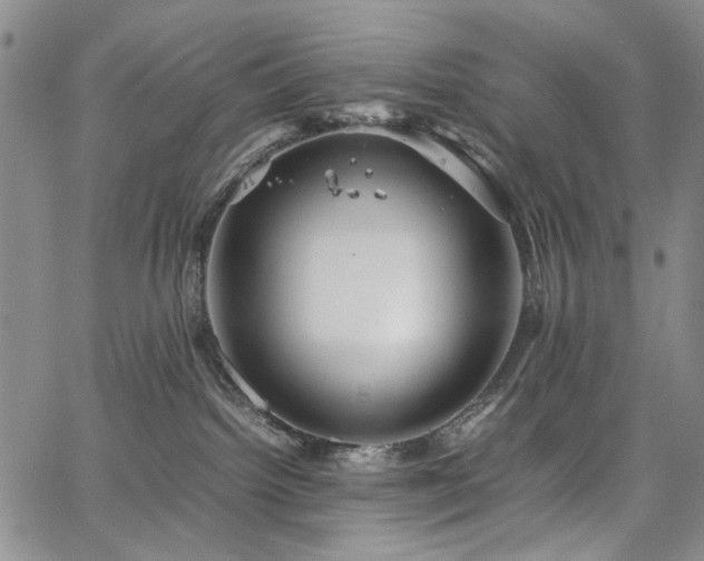 X0000067520092200604071332