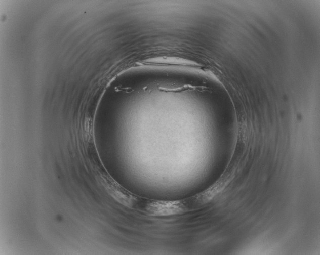 X0000067520093200604071332