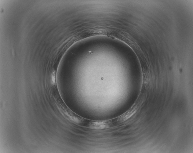 X0000067520095200604071332