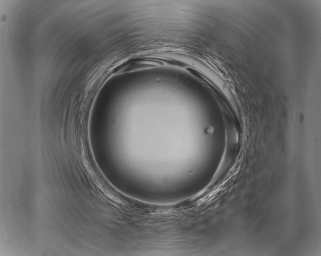 X0000067520097200604071331