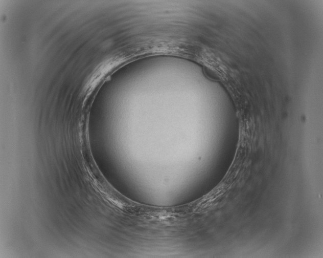 X0000067520098200604071331