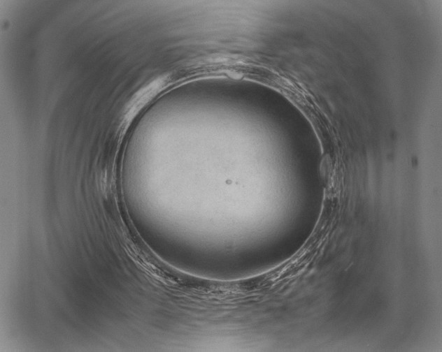 X0000067520099200604071331