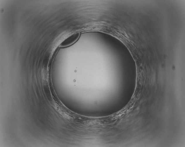 X0000067520100200604071331