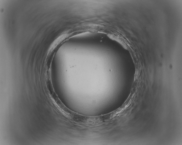 X0000067520101200604071331