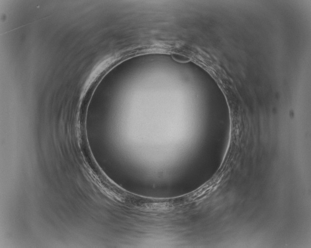 X0000067520102200604071331