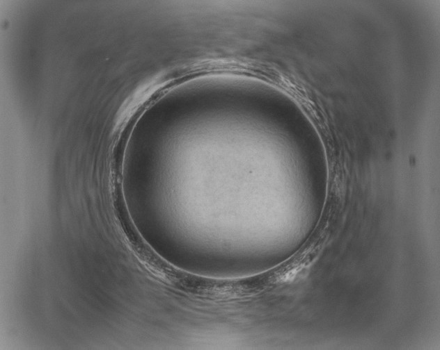 X0000067520103200604071331