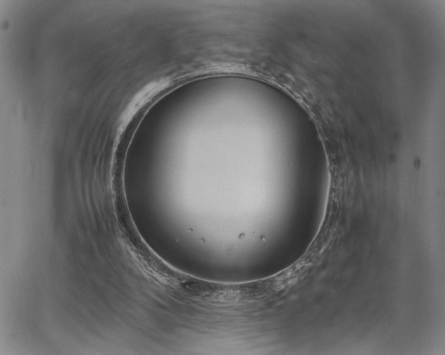 X0000067520104200604071331