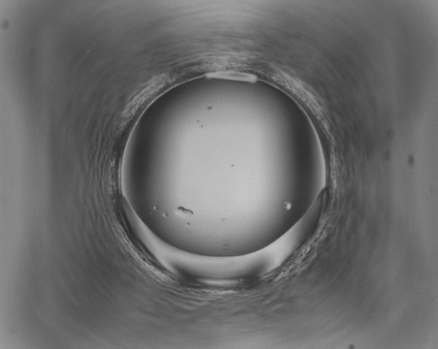 X0000067520105200604071331