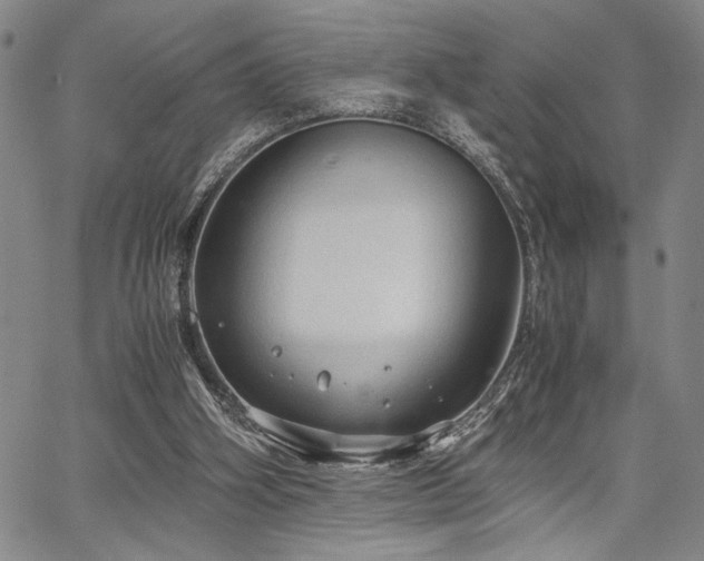 X0000067520106200604071331