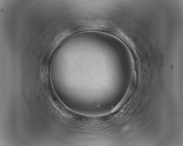 X0000067520107200604071331