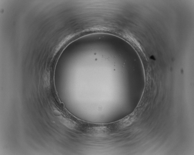 X0000067520108200604071331