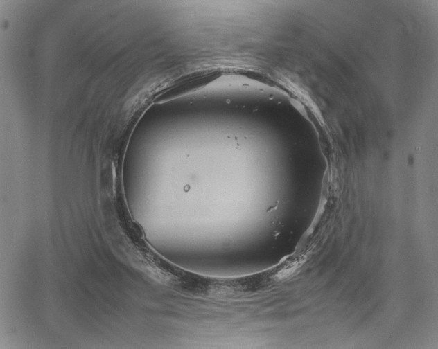 X0000067520109200604071331