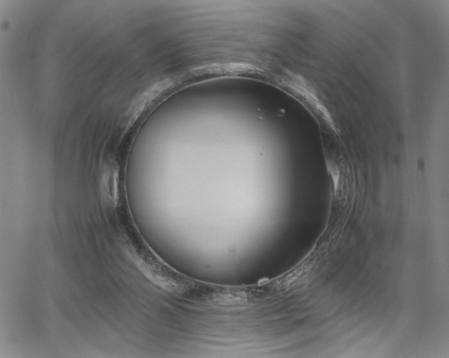 X0000067520110200604071331