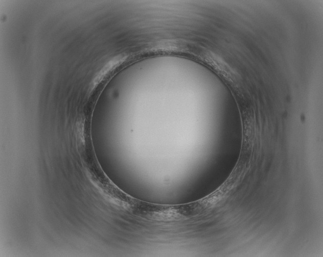 X0000067520112200604071331